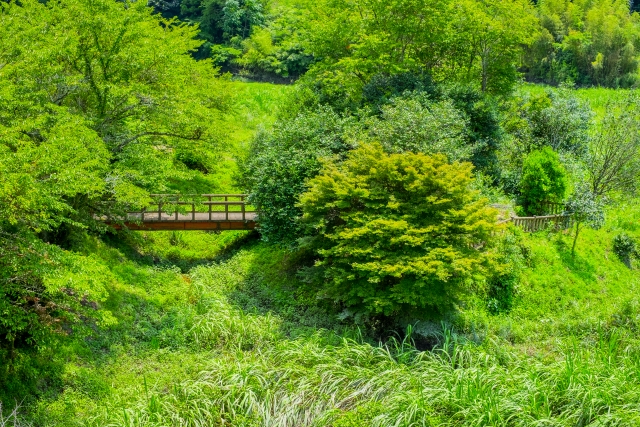 ぎっくり背中を即効で治すオステオパシーのアプローチのまとめ