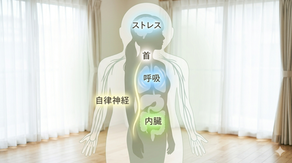 めまいの原因5パターン|だいたいこれで説明つきます