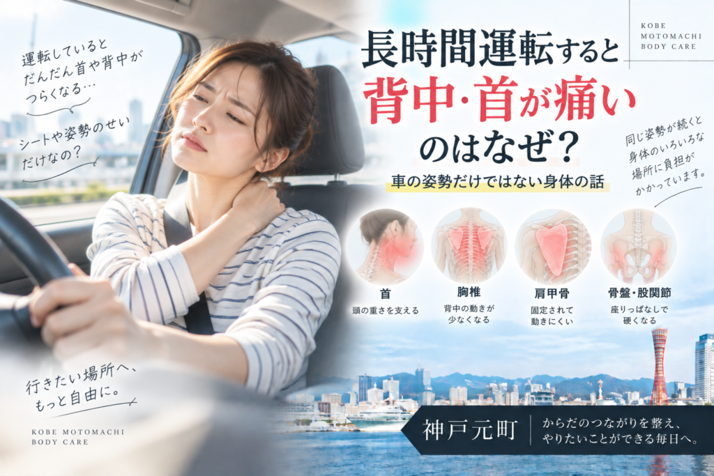 長時間運転すると背中・首が痛いのはなぜ?車の姿勢だけではない身体の話|神戸元町