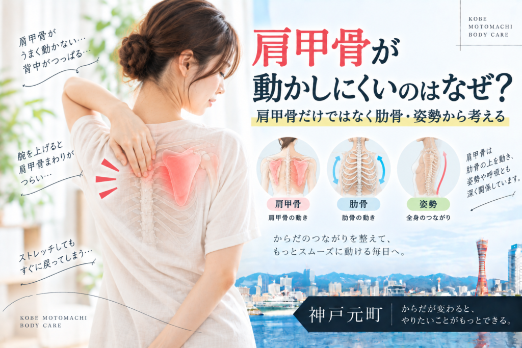 肩甲骨が動かしにくいのはなぜ？肩甲骨だけではなく肋骨・姿勢から考える｜神戸元町