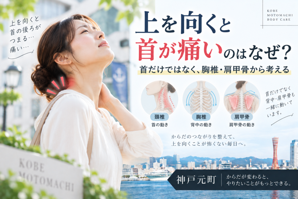 上を向くと首が痛いのはなぜ?首だけではなく胸椎・肩甲骨から考える|神戸元町