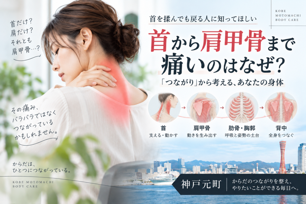 首から肩甲骨まで痛いのはなぜ?首を揉んでも戻る人に知ってほしい「つながり」の話|神戸元町