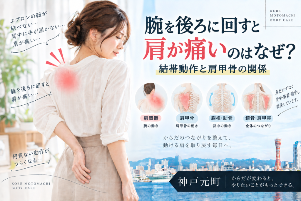 腕を後ろに回すと肩が痛いのはなぜ?結帯動作と肩甲骨の関係|神戸元町