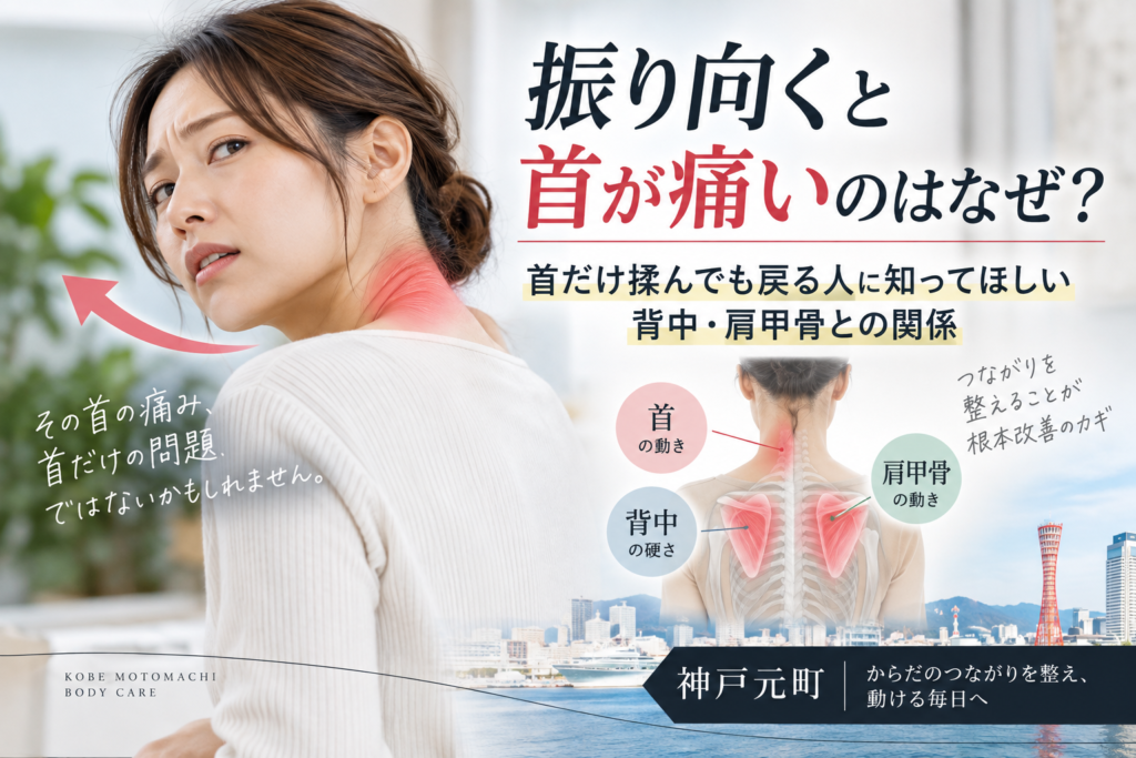 振り向くと首が痛いのはなぜ?首だけ揉んでも戻る人に知ってほしい背中・肩甲骨との関係|神戸元町