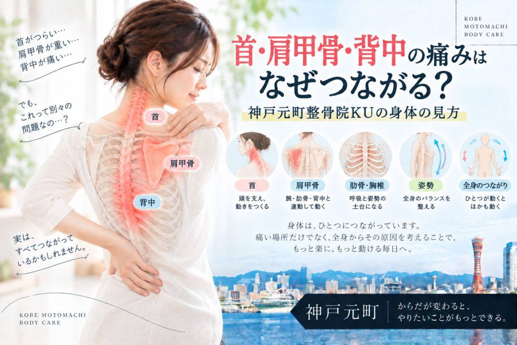 首・肩甲骨・背中の痛みはなぜつながる？神戸元町整骨院KUの身体の見方