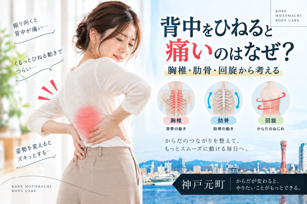 背中をひねると痛いのはなぜ?胸椎・肋骨・回旋から考える|神戸元町