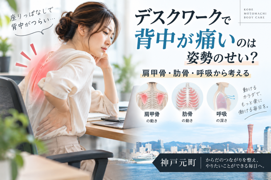 デスクワークで背中が痛いのは姿勢のせい?肩甲骨・肋骨・呼吸から考える|神戸元町